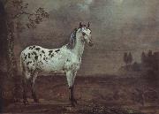 POTTER, Paulus A geschecktes horse France oil painting artist